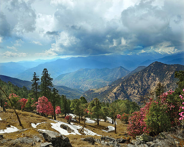 Chopta